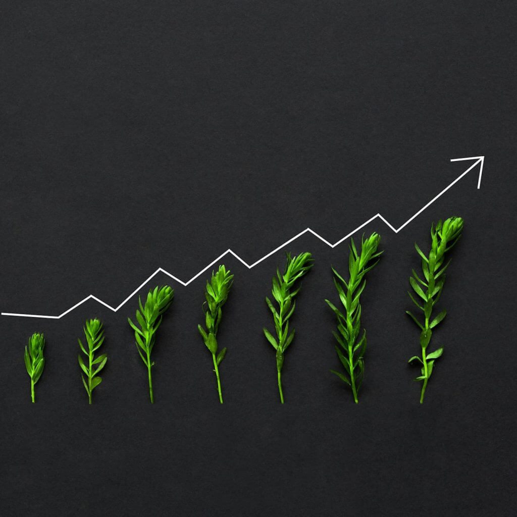 business growth